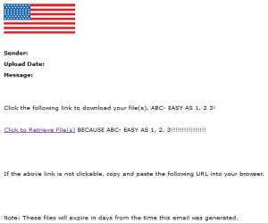 branded email american flag small