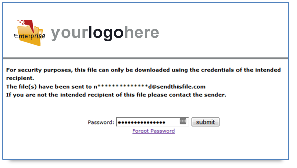 Enterprise Security - Password Protected Downloads - Password form.